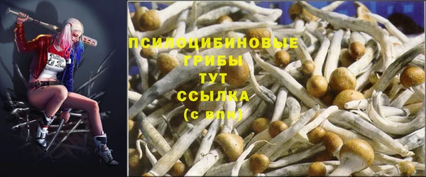 прущая мука Гусев