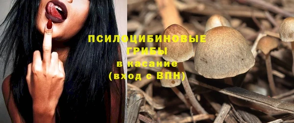 прущая мука Гусев