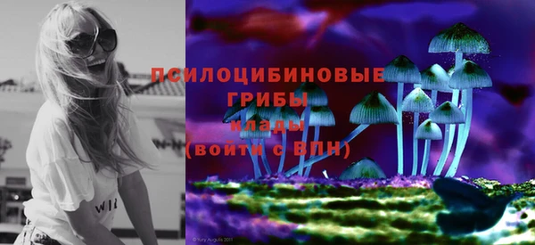 прущая мука Гусев