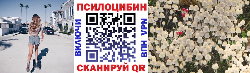 Псилоцибиновые грибы прущие грибы Каменск-Шахтинский