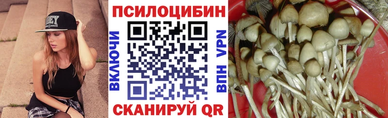 Псилоцибиновые грибы мухоморы  Купить где  Каменск-Шахтинский 